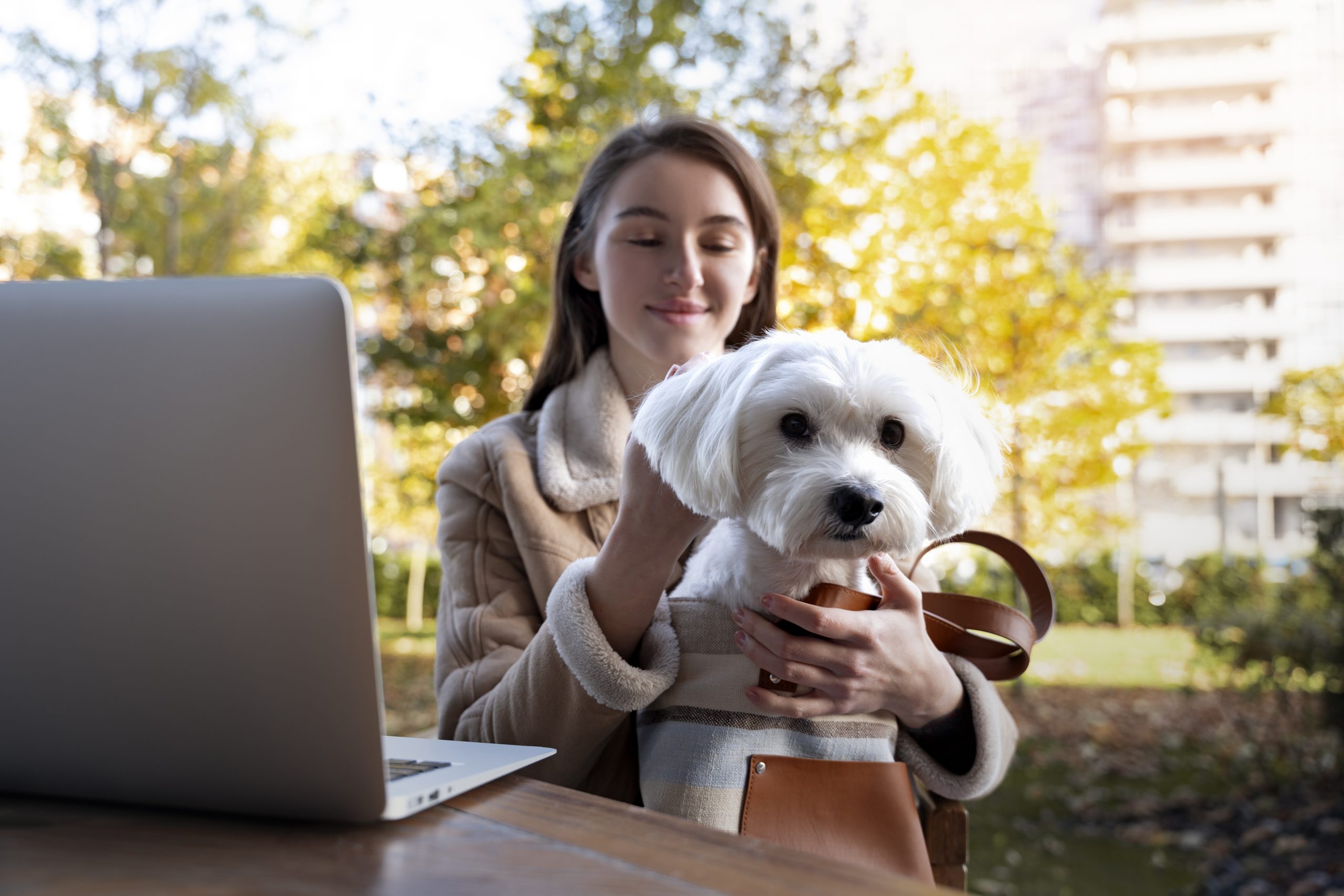 Pet Health Insurance Columbus Ohio