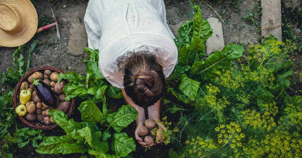 How Much Does It Cost to Insure a Farm?